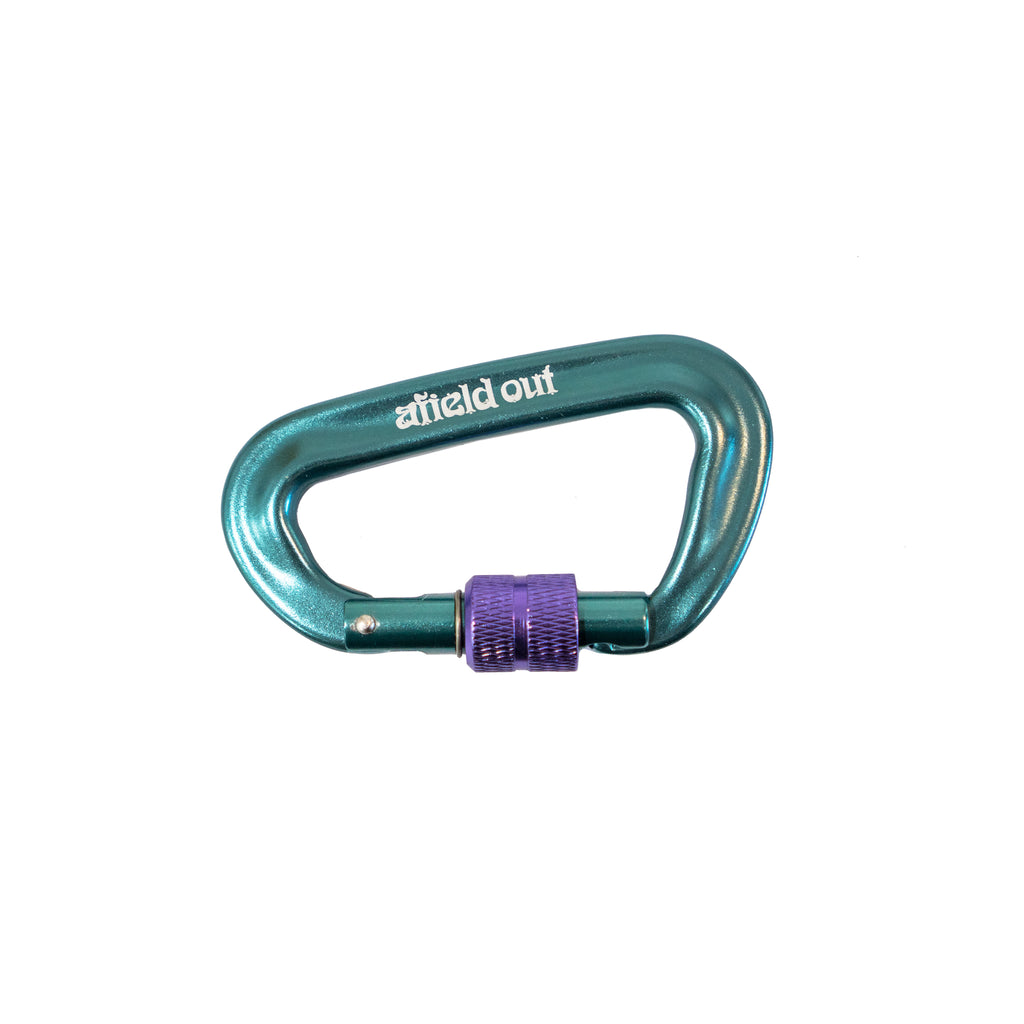 Teal / Purple Carabiner