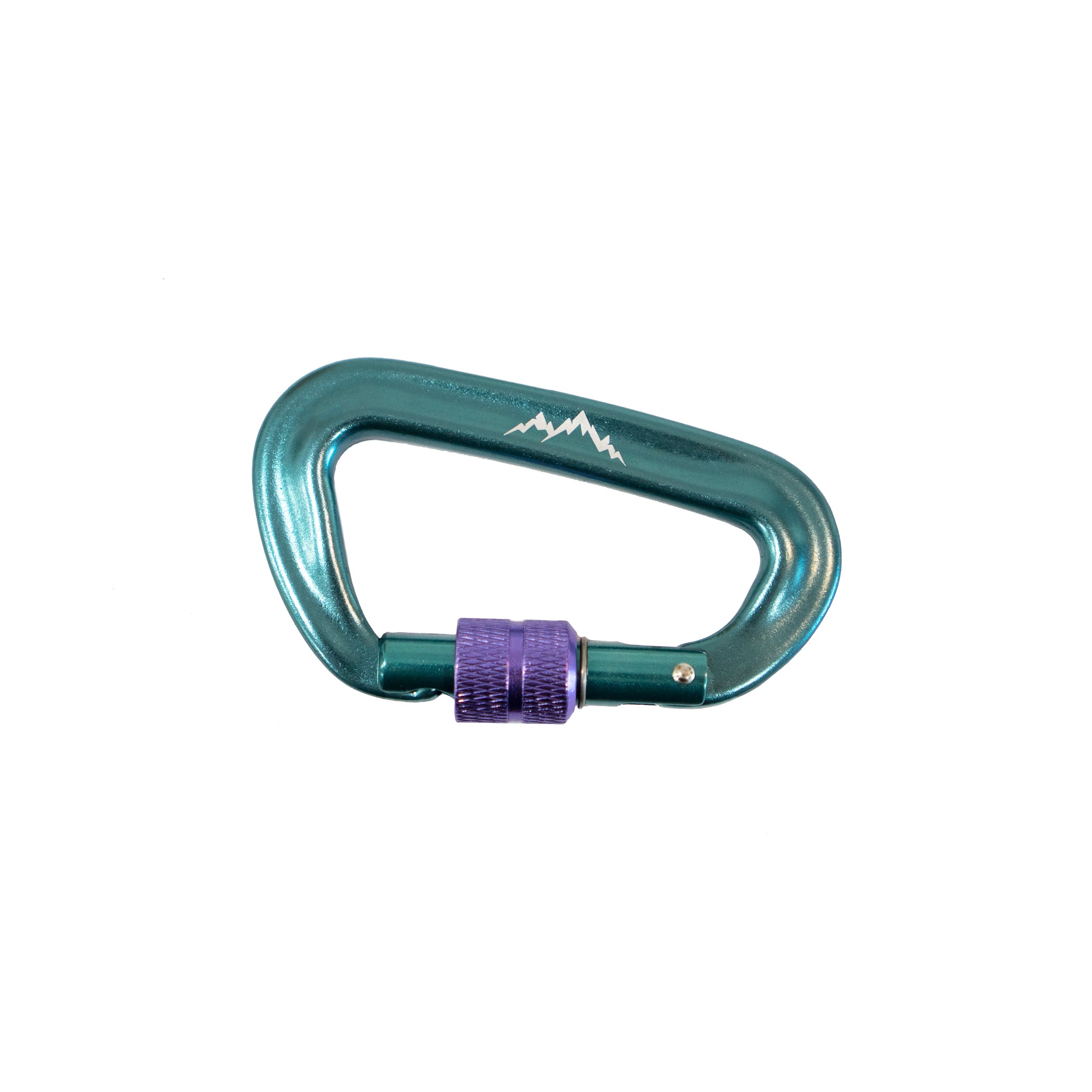 Teal / Purple Carabiner